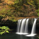 Ultimate Guide to Butte Creek Falls – What to Know!
