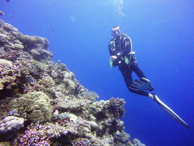 Dive the Maldives on a budget