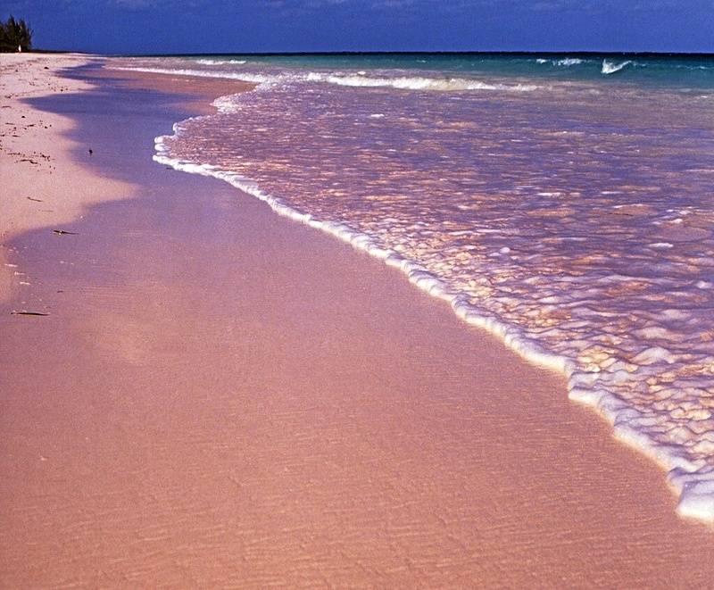 caribbean pink sand beach