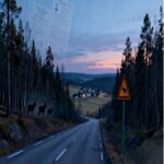 Viltnemnda in Norway: a complete guide