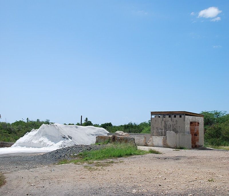 caribbean pink sand beach