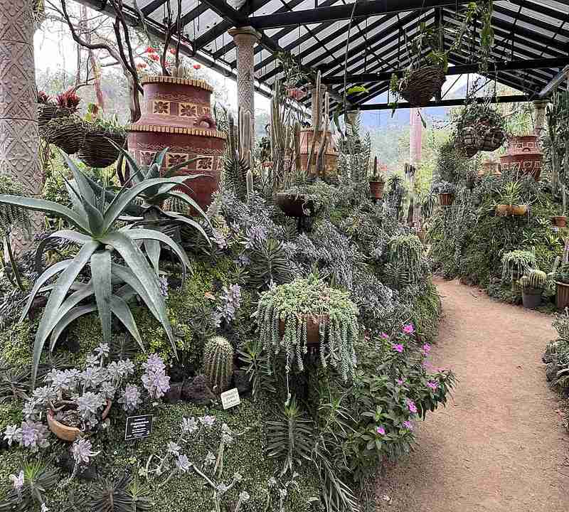 things to do in puerto vallarta