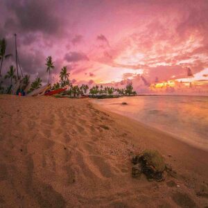 pink sands beach bahamas