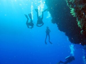 Red Sea wall diving